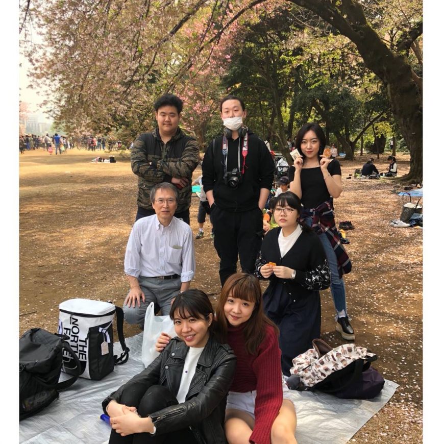 報告 | お花見 Enjoying Cherry blossom